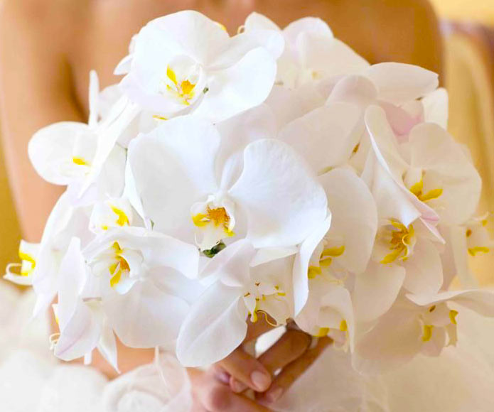 Букеты невесты из орхидей